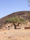 Фото Мавритании.